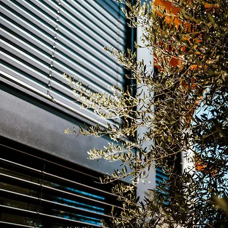 Refugio Poldras-villa 63 Villa Mondim de Basto