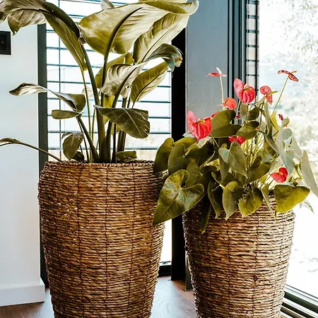 Refugio Poldras-villa 63 Villa Mondim de Basto