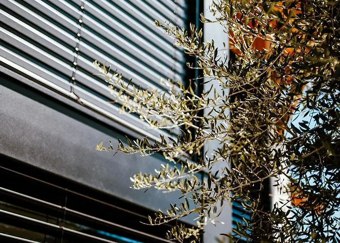 Refugio Poldras-villa 63 Βίλα Mondim de Basto