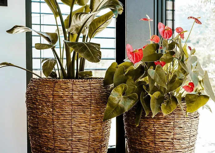 Refugio Poldras-villa 63 Villa Mondim de Basto